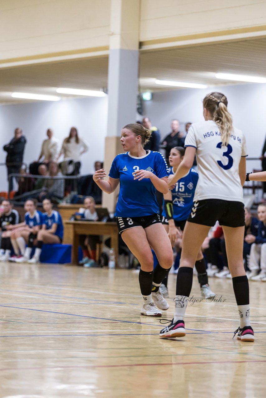 Bild 136 - wBJ TSV Ellerau - HSG Kalkberg : Ergebnis: 30:19